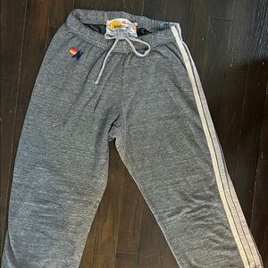 Aviator Nation - gray sweatpants with light stripes. Great condition!